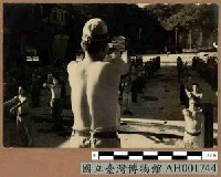 藏品(台灣日俘舉行體操)的圖片